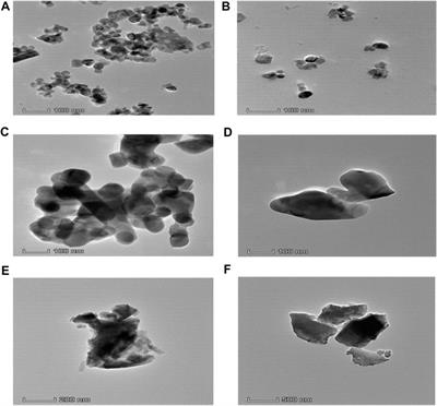 Performance evaluation of dextran-coated CaFe12O19/MnFe2O4 exchange-spring composites for the self-heating properties at radio frequency field